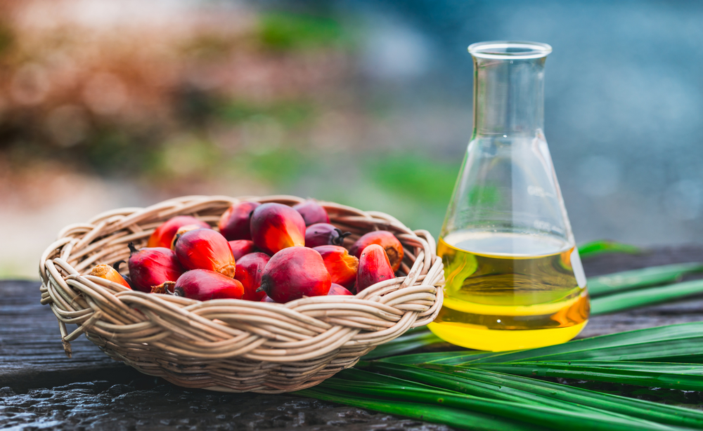 Palm,Fruit,Basket,In,A,Basket,Of,Vegetable,Oil,On